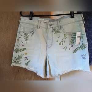 Anthropologie Pilcro jean shorts - 30